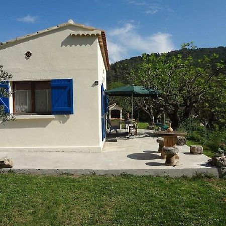 Cottage Provencal Belgentier Экстерьер фото